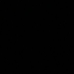 Meet your Posher, Torrian